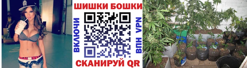 Шишки марихуана планчик  Почеп 